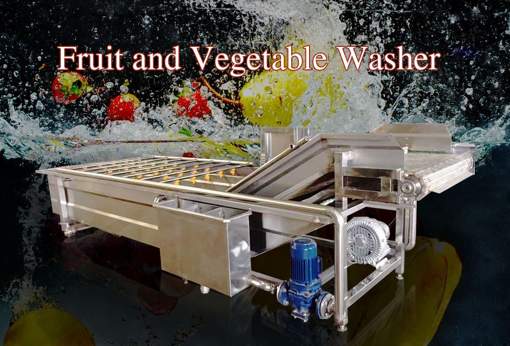 야채 세탁기 기계
