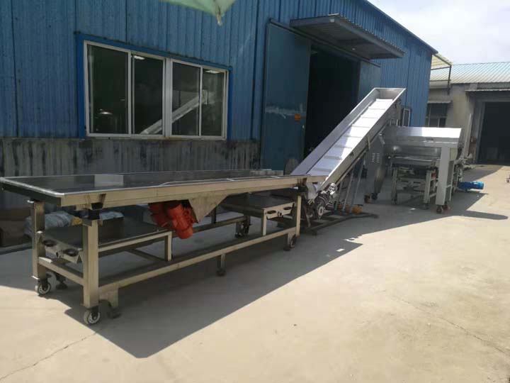 Conveyor for grape destemmer