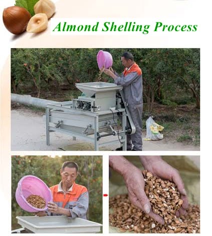 Almond sheller