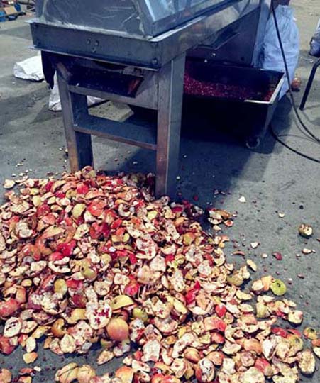 Pomegranate processing