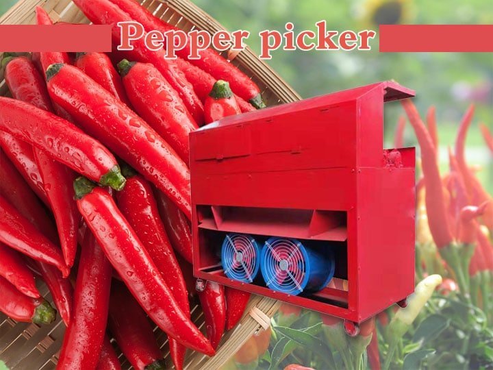 Pepper picker (2)