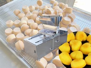 Commercial cupcake filling machine