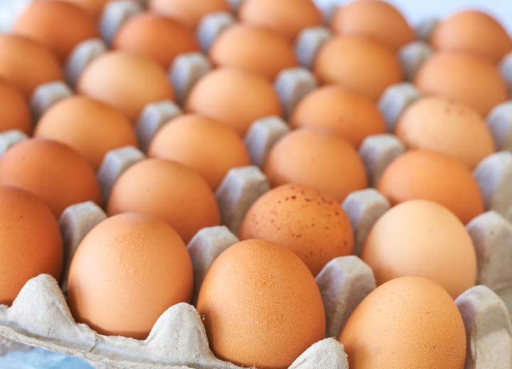 선별된 닭고기 계란