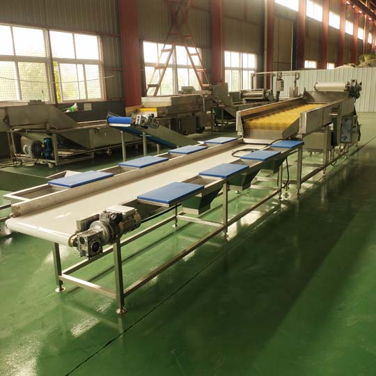 Vegetable washing line factory